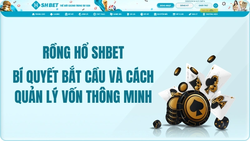 Rồng Hổ SHBET – Bí Quyết Bắt Cầu Và Cách Quản Lý Vốn Thông Minh